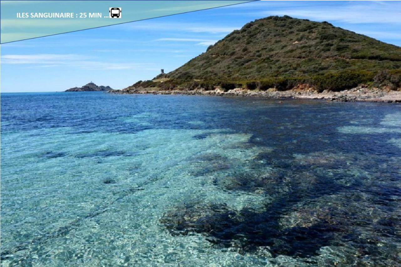 Centre Ajaccio ☆ Wifi ☆ Clim ☆ Plages 外观 照片